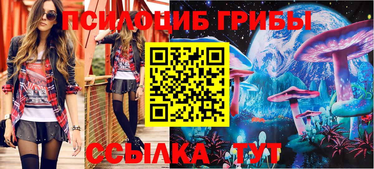 Котельники  Псилоцибиновые грибы MAGIC MUSHROOMS  Вход с VPN 